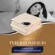 Набор 1 одеяло + 2 подушки Classic By T Восток clbt960356 тик цвет бежевый 220x200 см 50x70 см