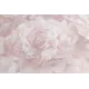Обои флизелиновые Home color Pions 1.06 м цвет розово-бежевый HC71995-51