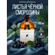 Аромадиффузор L'effet papillon 100 мл Черная смородина