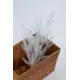 Рождественская ветка Crystal trees KP-VL-10 ø 20 см с декором