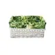Корзина Natural house EW-82 S 25x15x15 см ива цвет белый