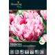 Тюльпан махровый Деззлинг Дизайя луковицы 12 5 шт
