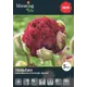 Тюльпан махровый бахромчатый Белфорт луковицы 12 5 шт