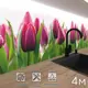 Стеновая панель Фартукофф Тюльпаны 400x60x0.15 см ПВХ цвет разноцветный