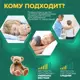 Матрас Sleeptek Junior LatexStrong Norma SJLSN-00003-3181 80x190x17 см независимый пружинный блок 1-спальный