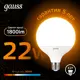 Лампа светодиодная Gauss E27 170-265 В 22 Вт шар большой прозрачная 1800 Лм теплый белый свет