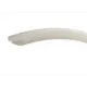 Шланг напорный пищевой Holzer Flexo d 18 мм 3/4'' прозрачный 20 м