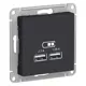 Розетка USB Schneider Electric Atlas ATN001033 цвет карбон