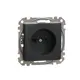 Розетка встраиваемая Schneider electric Sedna SDD114035 цвет антрацит