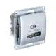 Розетка USB встраиваемая Systeme electric Glossa GSL000329 цвет алюминий