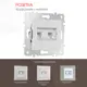 Розетка для телефона/компьютера встраиваемая Arte milano 203.44-1.silver RJ11 RJ45 цвет серебро
