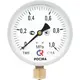 Манометр Росма тм-510р.00 D270-06618 10 бар