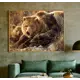 Ковер Erdenet Hunnu 6S235 28 медведи 100x150 см Шерсть