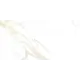 Керамогранит Takceram Calcateh Gold полированный ректифицированный 59.5x119см цвет бело-бежевый, цена за упаковку