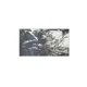Коврик для ванной Sofi De MarkO Doris 100x120см цвет мультиколор