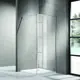 Душевая перегородка Azario AZ NAG 6310 1100 110x200см серебро профиль