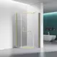 Душевой уголок Veconi RV36G-90-01-C5 прямоугольник 90x90см хромированный профиль эффект стекла прозрачный