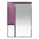Зеркальный шкаф для ванной Misty Жасмин П-Жас02065-122СвЛ 65x100см розовый