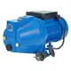 Насос садовый поверхностный Aquamotor Arjet 110 расход 3900 л/ч
