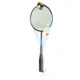 Бадминтон Boyscout 61450 в сетке