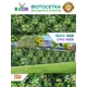 Фотосетка Рада FTSRADA021B для декора заборов Портулакария 158x600 см