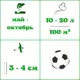 Семена газона Green Medow Спортивный 10 кг