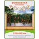 Фотосетка для забора Art Пиростегия 320x155см