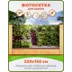 Фотосетка Art ФС148 Девичий виноград на стене 320x155см