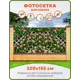 Фотосетка для забора Art Розы на шпалере 320x155см