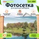 Искусственная изгородь Артпалисад Природа осень 300x158 см