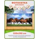 Фотосетка для забора Art Бегущие лошади 320x155см