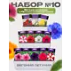 Семена Поиск Набор № 10 Бегония Петуния