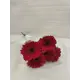 Букет Гербера