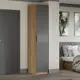Шкаф распашной Трия 45x226x53 см ЛДСП цвет дуб крафт золотой/графит матовый
