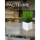 Осока в деревянном ящике Подар.Ок Home белый 9x9x9 см