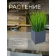 Осока в деревянном ящике Подар.Ок Home графит 9x9x9см