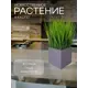 Осока в деревянном ящике Подар.Ок Home пудра 9x9x9 см