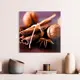 Картина без рамки Postermarket Корица 30x30 см