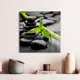 Картина без рамки Postermarket Стебель бамбука 30x30 см