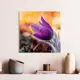 Картина без рамки Postermarket Фиолетовый цветок 30x30 см