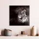 Картина без рамки Postermarket Тигр 30x30 см