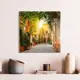 Картина без рамки Postermarket Старый дворик 30x30 см