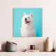 Картина без рамки Postermarket Самоед 30x30 см