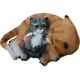 Садовая фигура Кошка с котенком 15x31x25 см