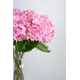 Гортензия искусственная 962-7-р розовый 7 шт