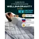 Одеяло утяжеленное детское Wellinagravity WGS-11-велюр, серый 2кг, 110x140 см, полиэфирное волокно