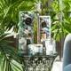 Диффузор ароматический парфюмированный Fig & Apple blossom 100 мл ARD-8