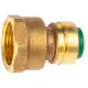 Муфта комбинированная Arrowhead 3/4"x25 мм ВР-push латунь 453133