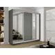 Шкаф-купе Мебельная компания е1 45EMT2_240_DM 220x240х45 см 9 полок лдсп цвет серый диамант