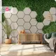 Фотообои флизелиновые Bartonwall 600x270 см Соты Листья Трава M095-W